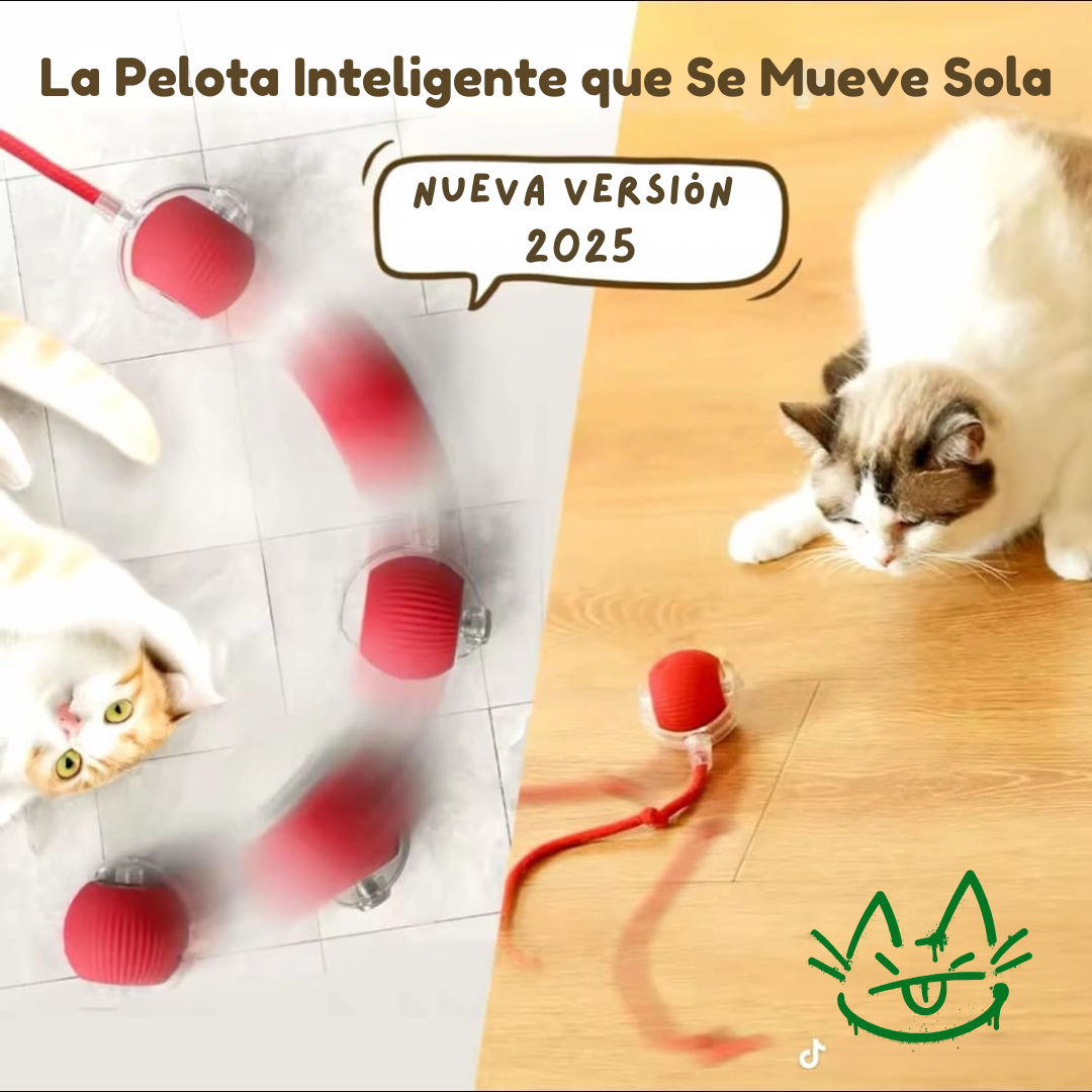 Rolla Pet – La Pelota Inteligente para Gatos